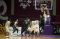 Tim Basket Korea Selatan...
