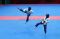 Taekwondoin Defia Rosmaniar...