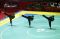 Pencak Silat Seni Beregu...