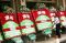 Go-Jek Apresiasi Atlet...