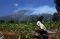 Kebakaran Hutan Gunung...
