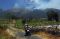 Kebakaran Hutan Gunung...