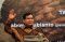 Pandangan Strategis...