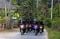 Tim Black Panther Polres...