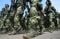 Upacara HUT Ke-73 TNI...