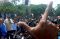 Capres Prabowo Hadiri...