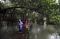 Asian Waterbird Census...