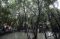Asian Waterbird Census...