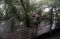 Asian Waterbird Census...