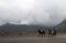 Gunung Bromo Masih Aman...