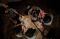 Galeri Indonesia Kaya...