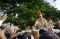 Capres Prabowo Hadiri...