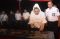 Lokomotif dan Dancing...