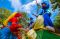 Kabupaten Serang Gelar...