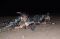 Korps Marinir Gelar...