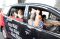 Menhub Lepas Tim Mudik...