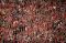 Liga 1 2019, Persija...