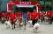Royal Canin Gelar Dog...