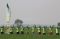 Bayer Gelar Fungisida...