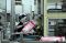 Softex Indonesia Siap...