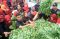 RSUD KRMT Wongsonegoro...