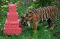 Asim, Harimau Sumatera...