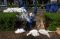 Pasca Banjir Saluran...