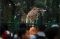 Ragunan Jadi Pilihan...