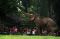 Ragunan Jadi Pilihan...