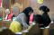 Mirawati Basri dan Elviyanto...