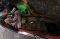 Motor Korban Banjir...