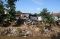 Lahan Normalisasi Ciliwung...