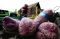 Harga Bawang Putih Impor...