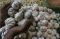 Harga Bawang Putih Impor...