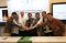 Pemprov DKI Jakarta...