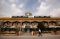 Bandara Aleppo Suriah...