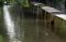 Banjir, Jalan Letjen...