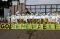 Greenpeace Gelar Aksi...