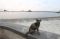 Suasana Pantai Ancol...