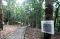 Menjelajah Hutan Masa...