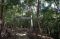 Menjelajah Hutan Masa...