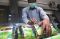 Jamu Herbal Tolak Corona...