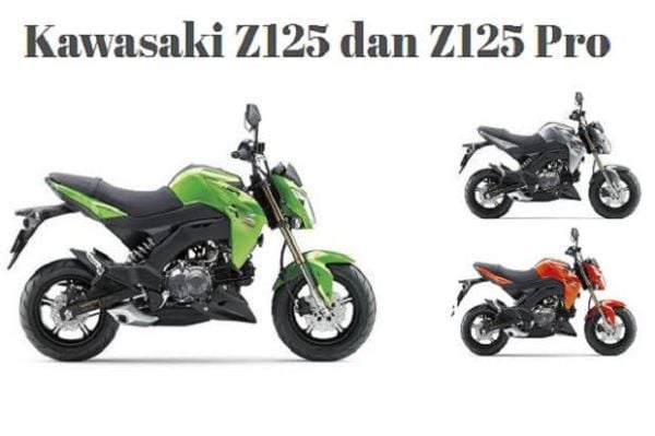 kawasaki Z125