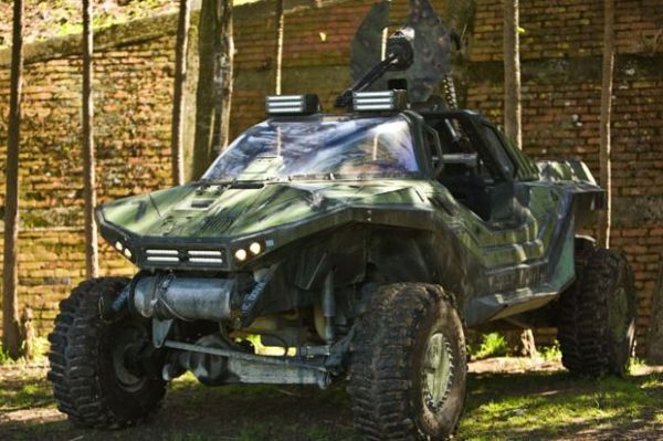 warthog