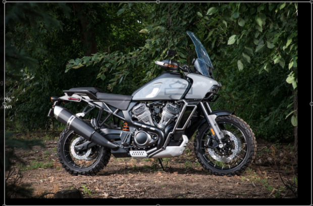 Keluar dari Pakem, Harley-Davidson Siapkan Model Baru