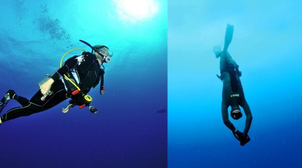 Menyelam Scuba Diving...
