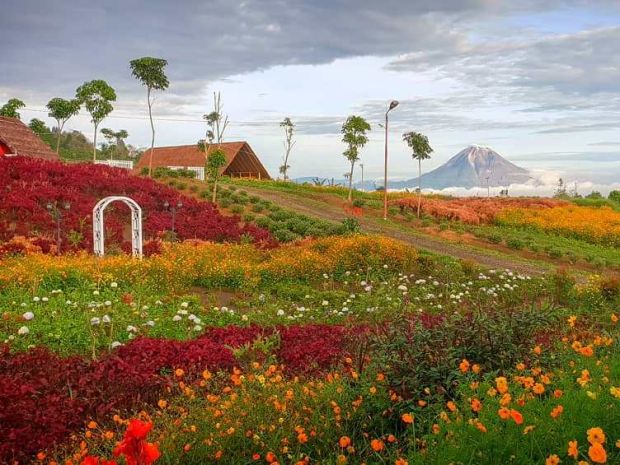 Kebun Madu Efi, Tempat...