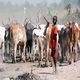 Ribuan pemuda di Sudan...