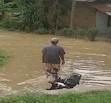 Tiga buaya terdampar...