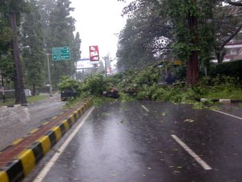 Angin kencang, Honda...